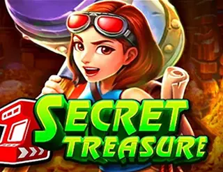 Secret Treasure